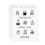Teacher Seeds - Greeting Card, Knowledge, Teacher Card, Teacher Thank You, Succulents, Illustration, Art