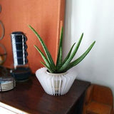 VICTORIA (small)-Orchid Planter-Succulent Planter-Small Size-Indoor-Outdoor-Hanging-Orchid Basket