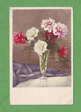 ca1930 white red violet Dianthus carnation pink sweet William flower vase