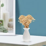 3 Bunches Natural Dry Flowers Bouquet Babys Breath Dried Flowers Vase Dried