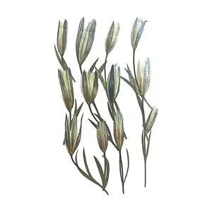 12Pcs Dried Pressed Lilies Real Pressed Flowers Dried