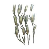12Pcs Dried Pressed Lilies Real Pressed Flowers Dried