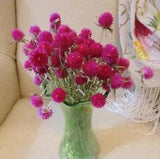Dried Flower Everlastings Bundle 75 Stems Gomphrena Bouquets Pink Weddings