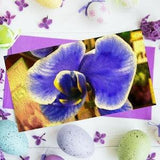 Blue orchid plant 10 pack of greeting cards, Rare orchid bouquet boxed set of cards, Summer blossom stationary, Botanical print retirement