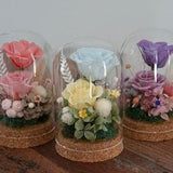 Japanese Preserved Rose Forever Eternal Rose Mini Terrarium Ornament Home Decor Forever Rose Dried Flower Preserved glass dome