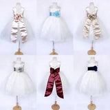 Carnation Rustic V-Back Ivory 2 Layer Tulle Flower Girl Gown Junior Pageant Chic