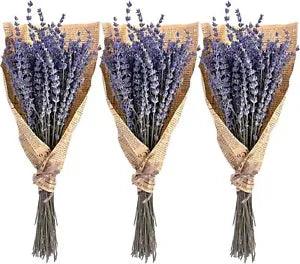 230 Stems Dried Lavender Flowers Bundles 3 Bunches Stems Natural Dry Lavender Fl