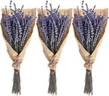 230+ Stems Dried Lavender Flowers Bundles, 3 Bunches Stems Natural Dry Lavender