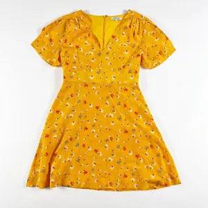 Madewell Women's Belladonna Silk Chiffon Floral Painted Carnations Print Dress 2