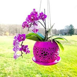 Hanging Planter with Drainage Tray for Orchids - Indoor / Outdoor