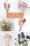 Best Online Dried Flowers Flower Delivery