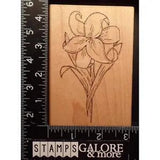 JRL Rubber Stamps U185 EASTER LILY SKETCHED GARDEN FLOWER #1416