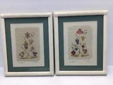 Pair Dried Pressed Flowers in  Handmade Paper Framed Wall Art Signed 9x11