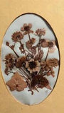 Hand Made Pressed Flower Wall Decor 8x10 Framed Dry Arrangement Signed 1970s