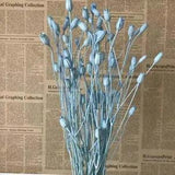 Dried Fengling Grass - DIY Dry Natural Bell Flowers Campanula Bouquet Home Decor