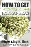 How to Dry Hydrangeas Perfectly Every Time Flower Delivery