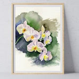 Orchids Watercolor Painting Original 8x10 Framed