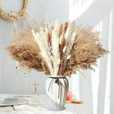 Pampas Grass Decor Wedding Decoration for Reception Dry Flowers and Farmhouse