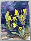 Dee Sinnett Original Watercolor Trout Lilies 7x5??? Signed Fine Art Flowers