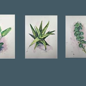 Wall Art Printings of Original Watercolor Painting, Green Plant, 200524, Printings of Many sizes