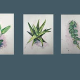 Wall Art Printings of Original Watercolor Painting, Green Plant, 200524, Printings of Many sizes