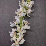 Artificial Real Touch Mokara Orchid stem CREAM with a SPLASH of PINK