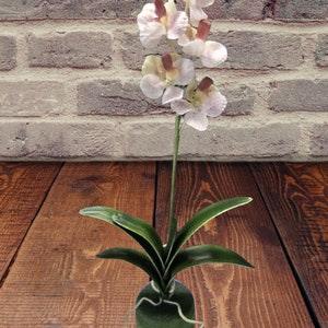 SALE! Vintage Latex artificial Vanda Orchid plant W/O pot