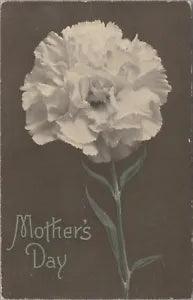 1912 Mother's Day carnation Presbyterian school Santa Cruz CA mark postcard C13