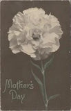 1912 Mother's Day carnation Presbyterian school Santa Cruz CA mark postcard C13