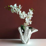 Gifts for mom. Handmade ceramic plant pot. Large orchid planter.