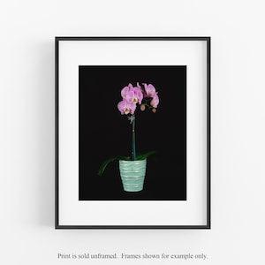 Pink Orchid Photograph, Flower Photograph