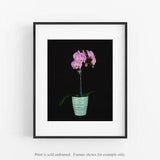 Pink Orchid Photograph, Flower Photograph