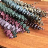 Natural Fresh Forever Eucalyptus Branches,Decorative Grass Coins,Dry preserved