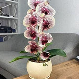 Orchid Arrangement in Ceramic Pot, Latex Orchid Stem, Realistic Orchid, Real touch Orchid in Vase, Silk Orchid Phalaenopsis