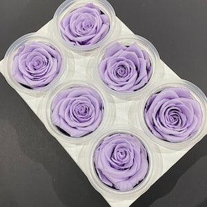 SINGLE PIECE | Large Preserved Rose single piece | 5-6cm | Dried & Everlasting | Bouquet | Wedding | Birthday | Cake toppings | Purple