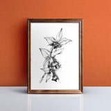 Cattleya Orchid Flower Print, Original Pen Art, Botanical, Wall Decor, Home Decor, Handmade Print, Plant Art