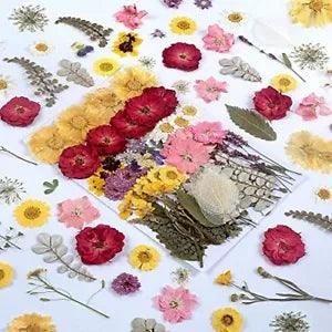 100 PCS Real Dried Pressed Flowers Leaves Natural Plant Herbarium for DIY Res...