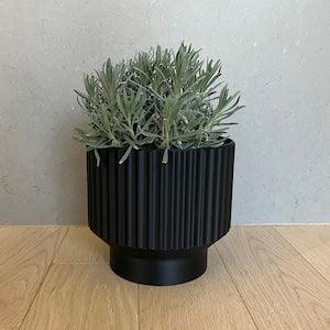 Lightweight Planter Pot | Black | 4",6" and 8" sizes