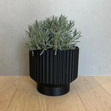 Lightweight Planter Pot | Black | 4",6" and 8" sizes