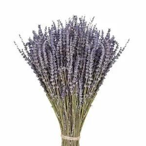 Lavender Natural Dried Flower Bouquet Wedding Party Decoration DIY Garden