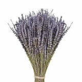 Lavender Natural Dried Flower Bouquet Wedding Party Decoration DIY Garden