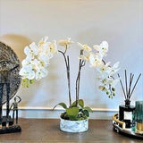 MARBLE CRYSTAL-Orchids Plant Arrangement Artificial in pot,Faux orchid and Moss floral display, Phalaenopsis white flower, Gifts
