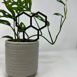 Hexagonal Plant Trellis