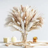 Natural Dried Pampas Grass Boho Home Decor Bouquet Phragmites Dried Flowers B...