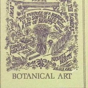 Botanical Art How-To Crafts Flowers Hang Dry Pressed Flowers Desiccant Foliage