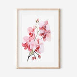 Original Watercolor Orchid on High-Quality Thick Matte Paper, Tropical Interior Design, Boho Wall Art, Flower Paintings, Tropical Decoration