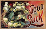 Gorgeous Lily of the Valley & a Gold Horseshoe on Old Good Luck Postcard-S. 1440