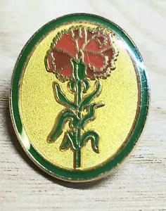Carnation Pin Hatpin Lapel Bagpin Badge Organization Red Carnations Flower Gift