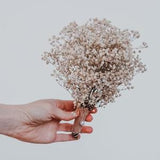 Cream baby's breath bouquet / gypsophila bouquet / boho wedding bouquet / elopement bouquet