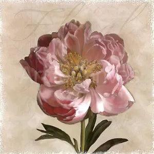 PEONY I (24x24) & PEONY II (24x24) SET by JANEL PAHL 2PC PINK FLOWERS CANVAS